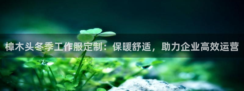 头号玩家娱乐app官网